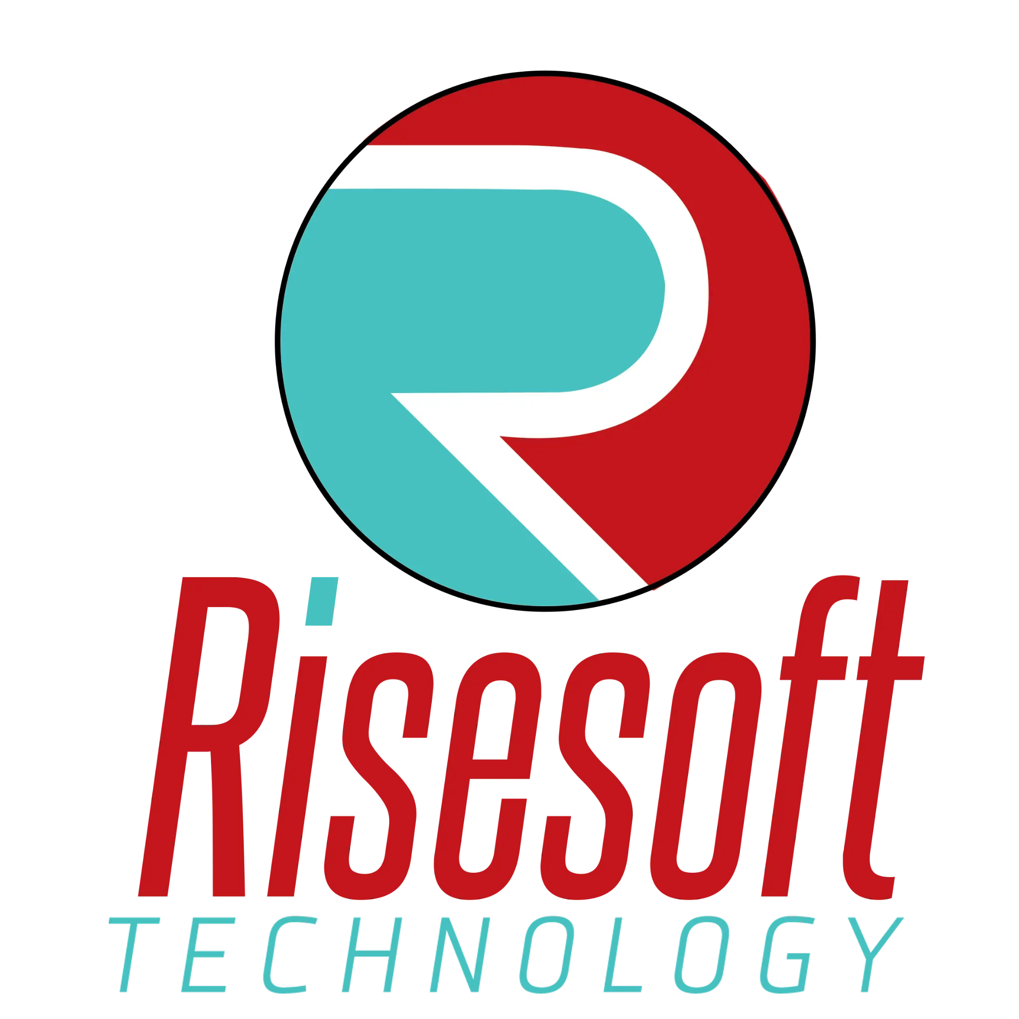 رايز سوفت تكنولوجي